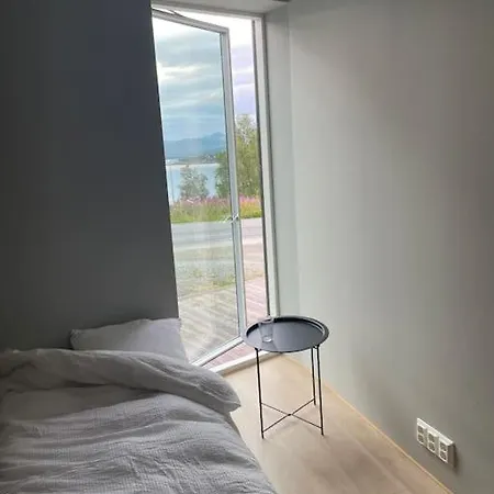 Northern Light فيلة