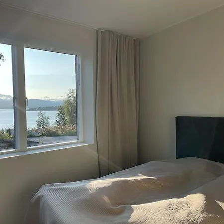 Northern Light ترومسو