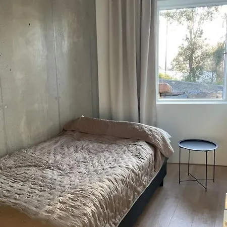 فيلة Northern Light