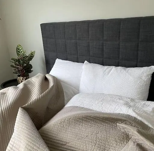 Northern Light * Tromso